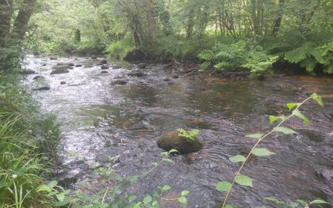 photo rivière L'Ellé 2024
